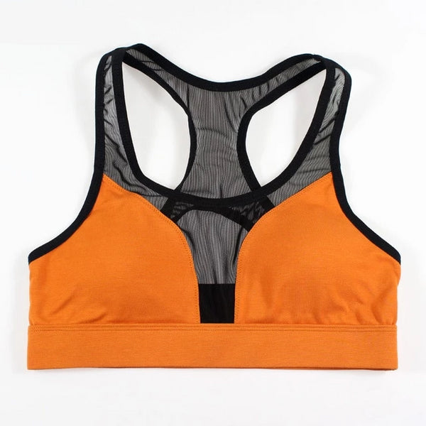 Waist Trainer Sports Fitness Bra